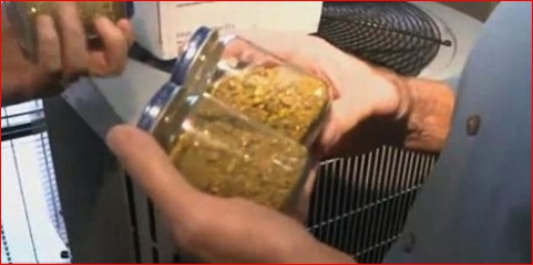 95d3feba9919bac4c05beb8482d47454_1700448662_0468.jpg 95d3feba9919bac4c05beb8482d47454_1700448662_0468.jpg